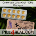 Cómo Usar Jalea Oral 100Mg Kamagra 41